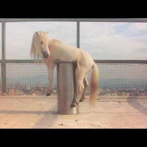 Meet your Posher, Mireille